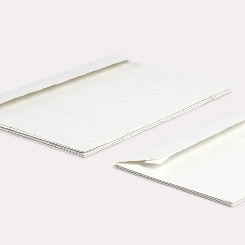 Enveloppes en papier ensemencé