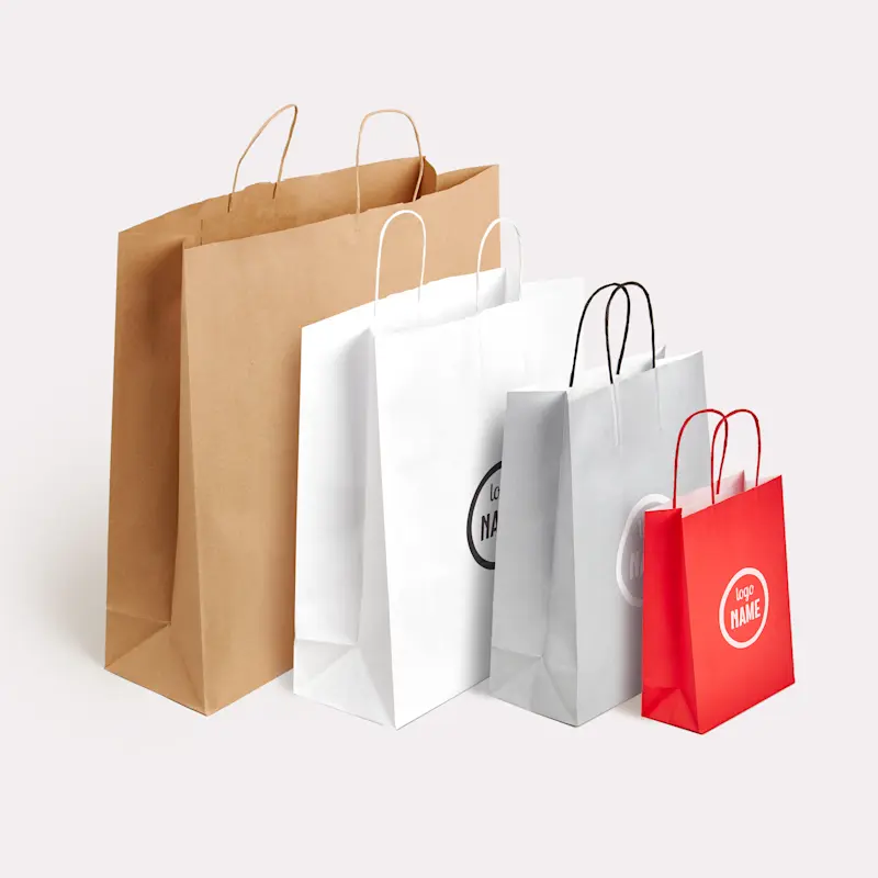 Sacs en papier avec anses torsadées - sérigraphie