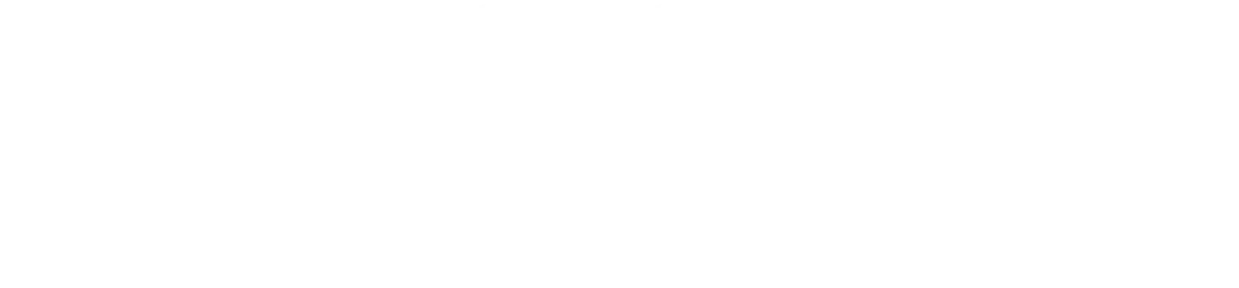 Seconde déclinaison du logo DIAVAEZ